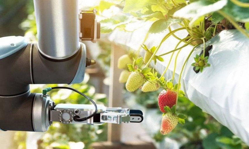 AgriTech (nông nghiệp công nghệ) và GreenTech (công nghệ xanh) cũng là những điểm sáng 