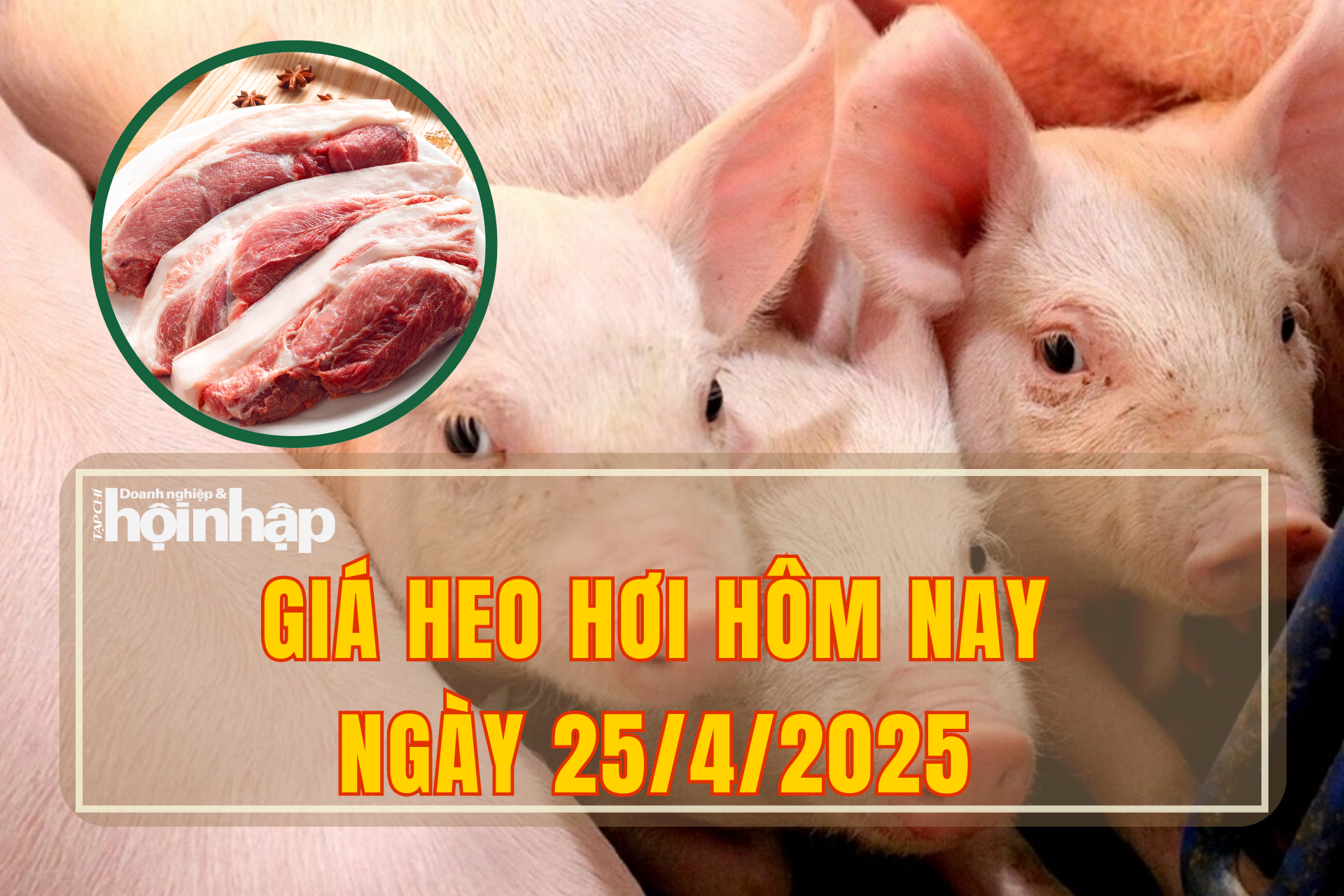 Giá heo hơi hôm nay 25/4/2025: Miền Bắc tiếp tục giảm nhẹ, miền Nam giữ giá ổn định 