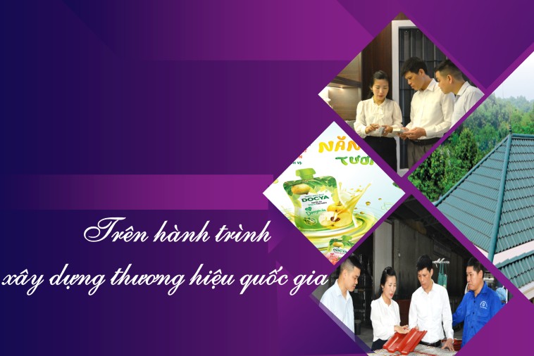 Doanh nghiệp Yên Bái nỗ lực trong hành trình xây dựng thương hiệu Quốc gia