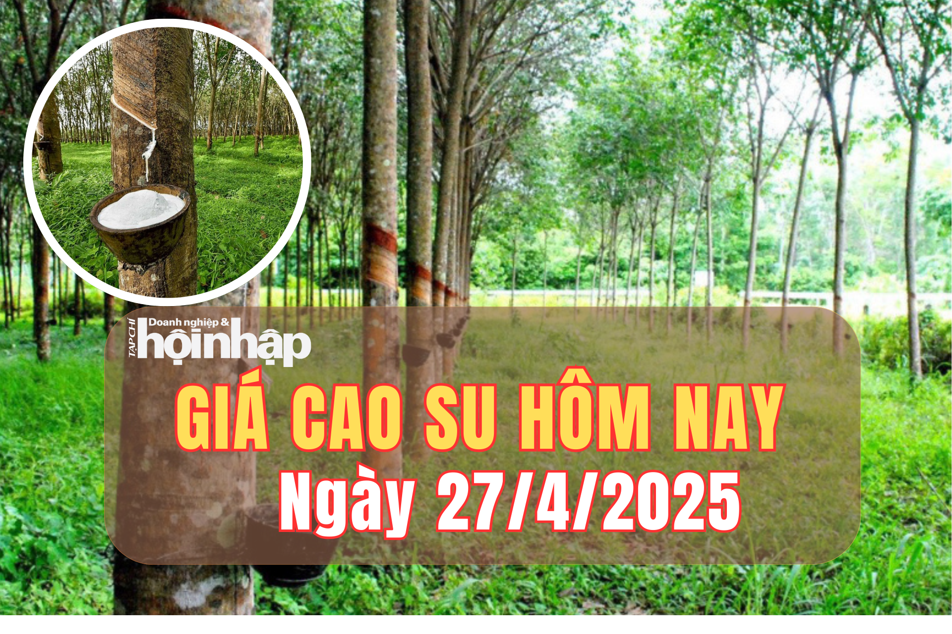 Giá cao su hôm nay 27/4/2025: Giá cao su trong nước ổn định, thế giới giảm