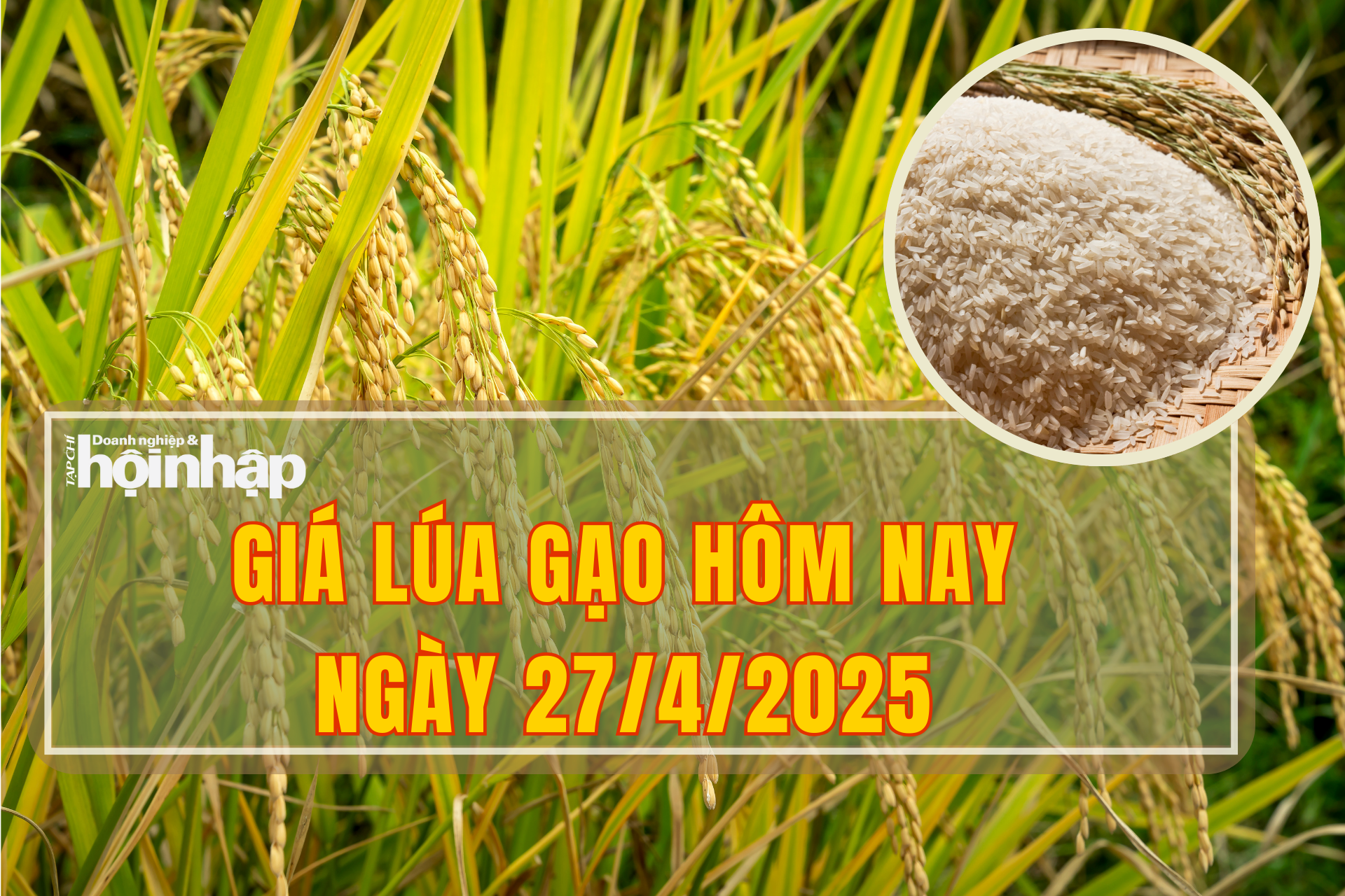 Giá lúa gạo hôm nay 27/4/2025: Thị trường giữ giá đi ngang Giá lúa gạo hôm nay 27/4/2025: Thị trường giữ giá đi ngang