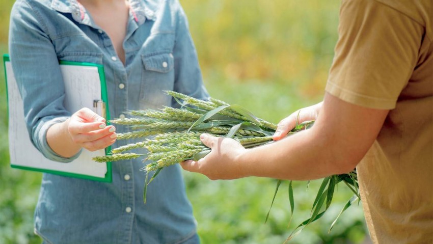 80 thủ tục hành chính chuẩn hóa trồng trọt và bảo vệ thực vật