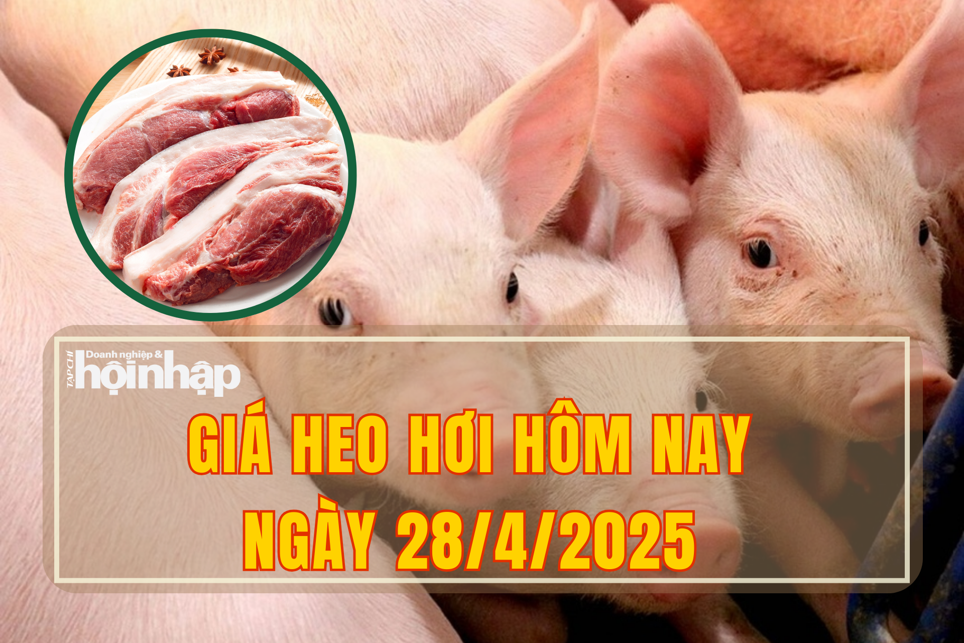 Giá heo hơi hôm nay 28/4/2025: Miền Bắc đồng loạt giảm, miền Trung và miền Nam ít biến động