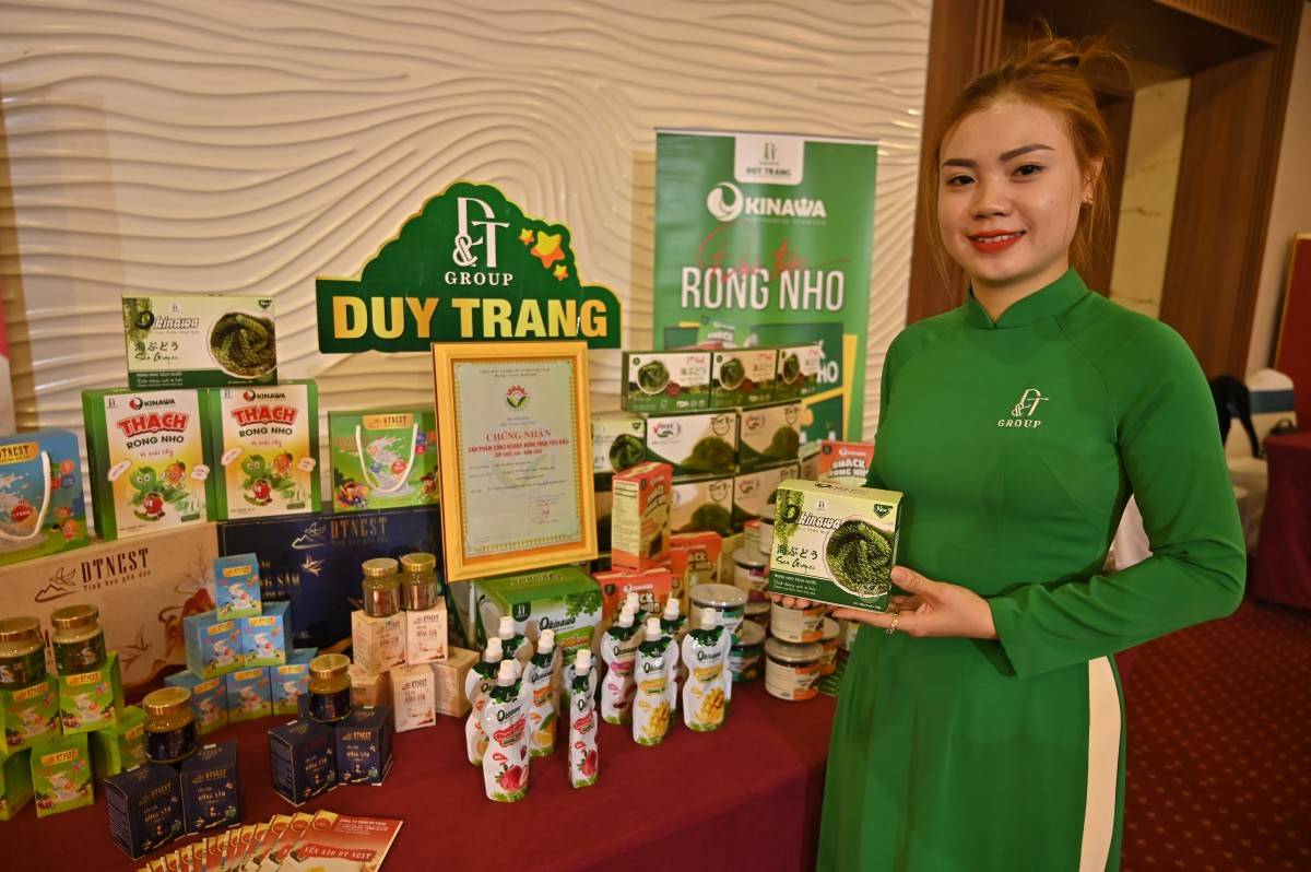 Nhân tố quan trọng góp phần tăng cường quan hệ hợp tác giữa Việt Nam với các nước trên thế giới.