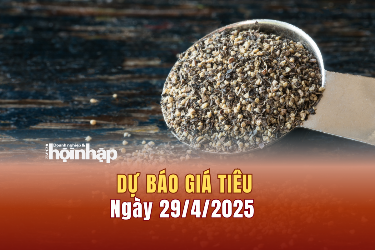 Dự báo giá tiêu 29/4/2025