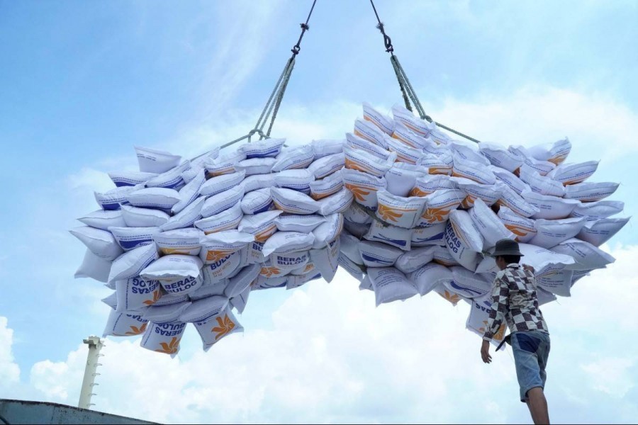 Cấp phép xuất khẩu gạo cho 221 doanh nghiệp