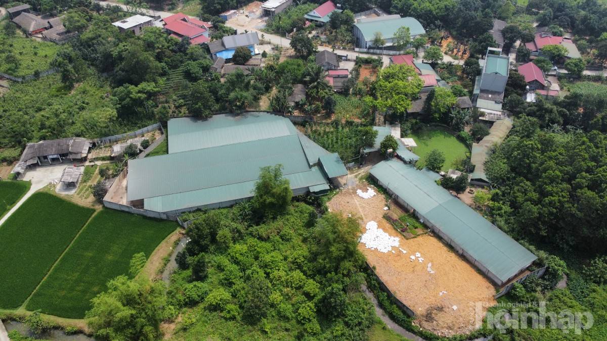 Phú Thọ: Buộc tháo dỡ trang trại gà không phép ở xã Hưng Long, huyện Yên Lập