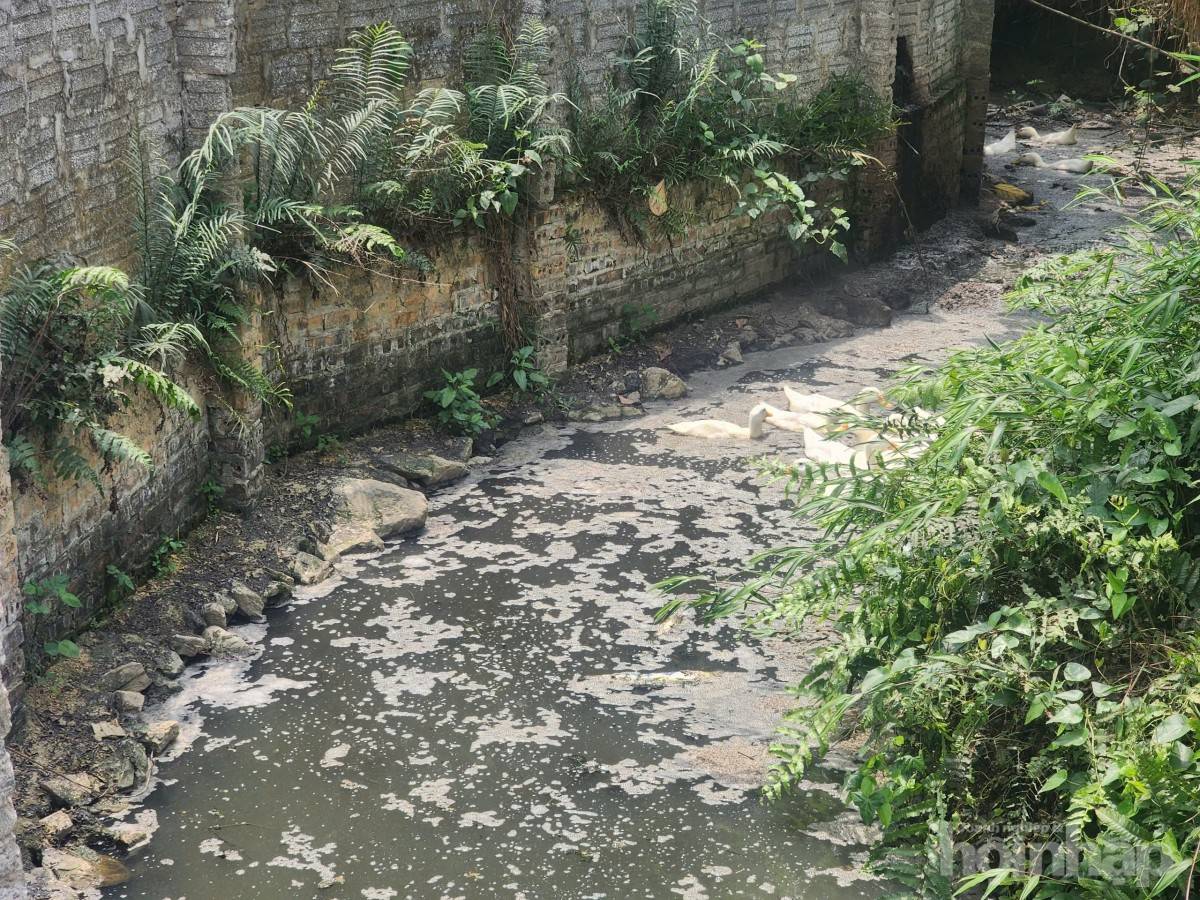 Phú Thọ: Buộc tháo dỡ trang trại gà không phép ở xã Hưng Long, huyện Yên Lập