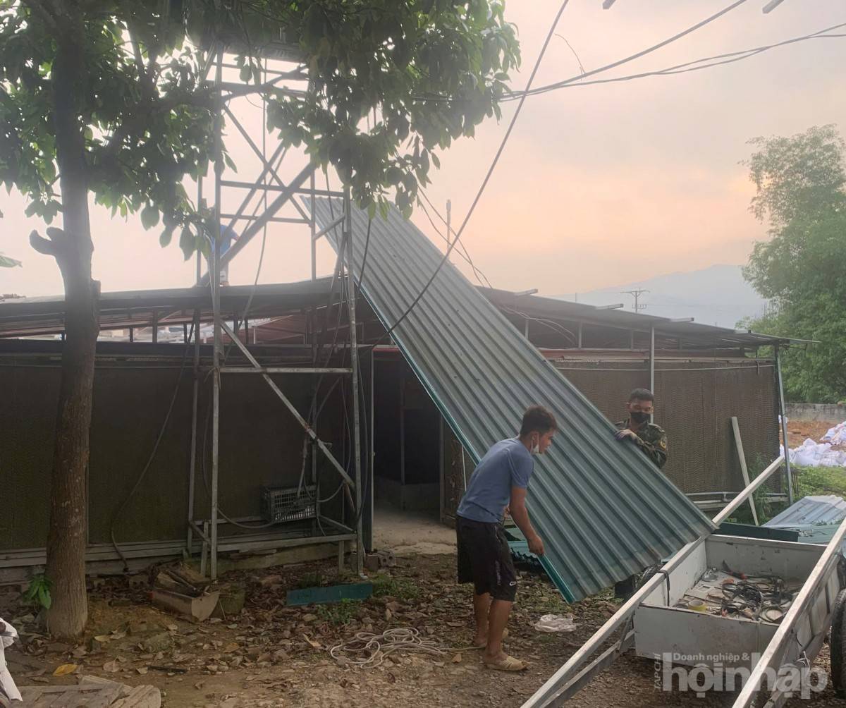 Phú Thọ: Buộc tháo dỡ trang trại gà không phép ở xã Hưng Long, huyện Yên Lập