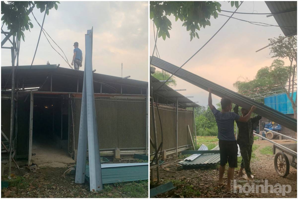 Phú Thọ: Buộc tháo dỡ trang trại gà không phép ở xã Hưng Long, huyện Yên Lập