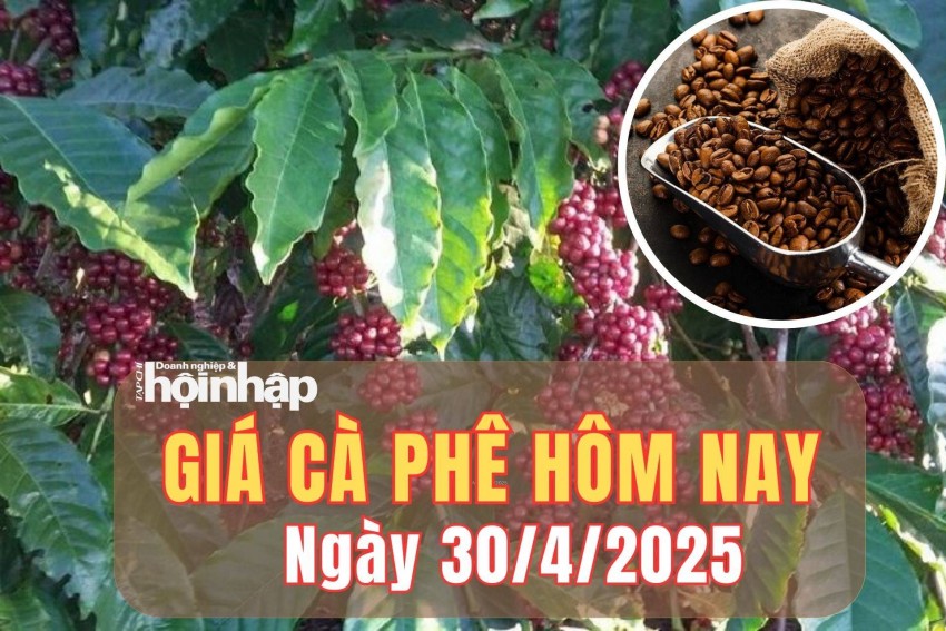 giá cà phê giá cà phê