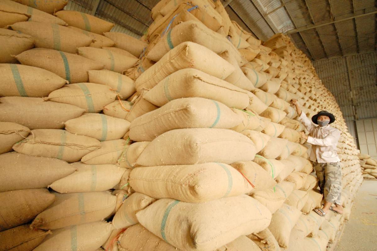 Đã thu hồi giấy chứng nhận kinh doanh xuất khẩu gạo của 10 doanh nghiệp