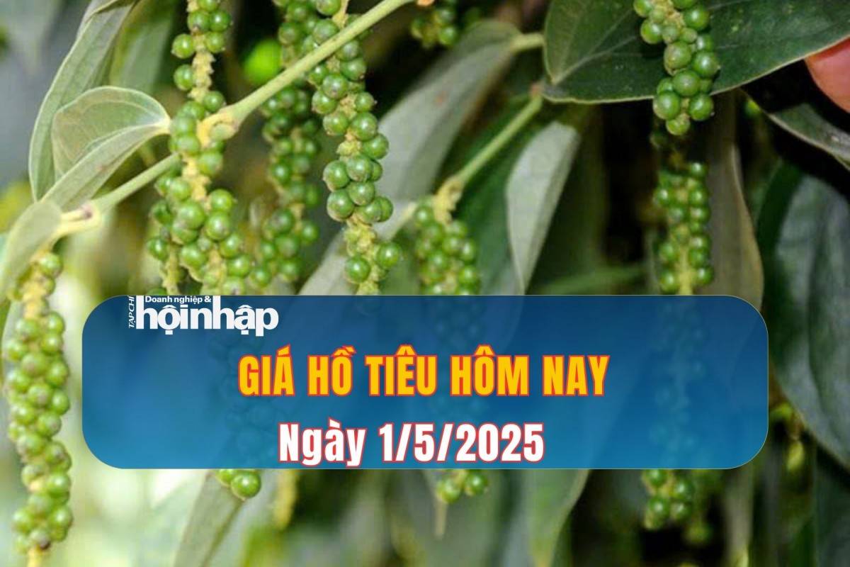 Giá tiêu hôm nay 1/5: