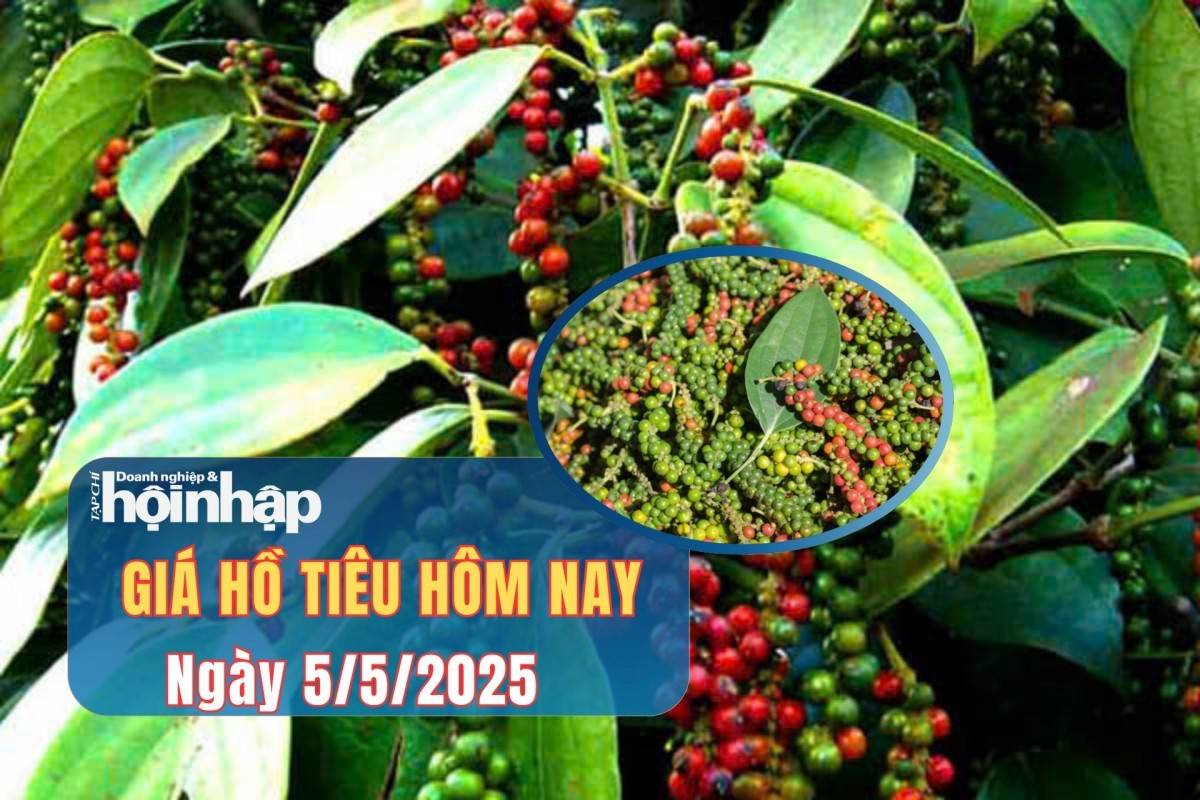 Giá tiêu hôm nay 5/5: