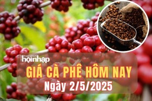 Giá cà phê hôm nay 2/5/2025: Giá cà phê trong nước biến động nhẹ, thế giới quay đầu giảm mạnh