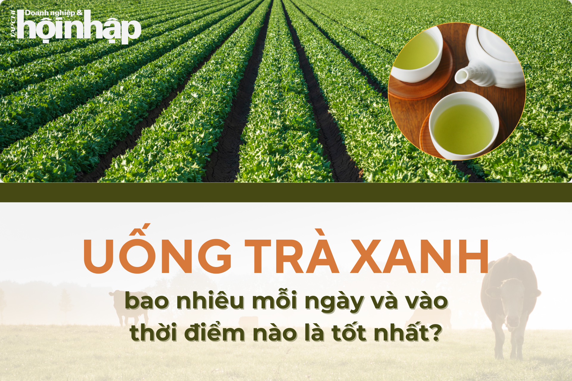 Uống trà xanh bao nhiêu mỗi ngày và vào thời điểm nào là tốt nhất?
