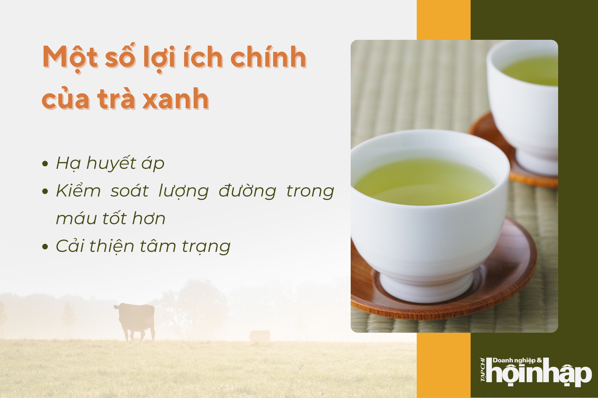 Một số lợi ích chính của trà xanh