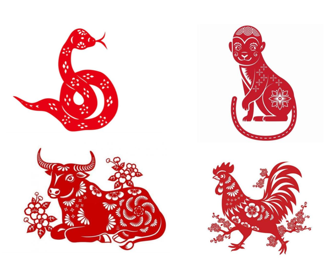 Tử vi hôm nay ngày 6/5/2025:  Tuổi Tỵ: Phạm Lục xung, phần sức khỏe tuổi Tỵ vào thứ 3 này cần hết sức chú ý