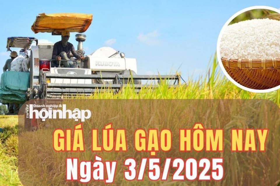 Giá lúa gạo hôm nay 3/5/2025: Giá lúa gạo ổn định trong dịp nghỉ lễ