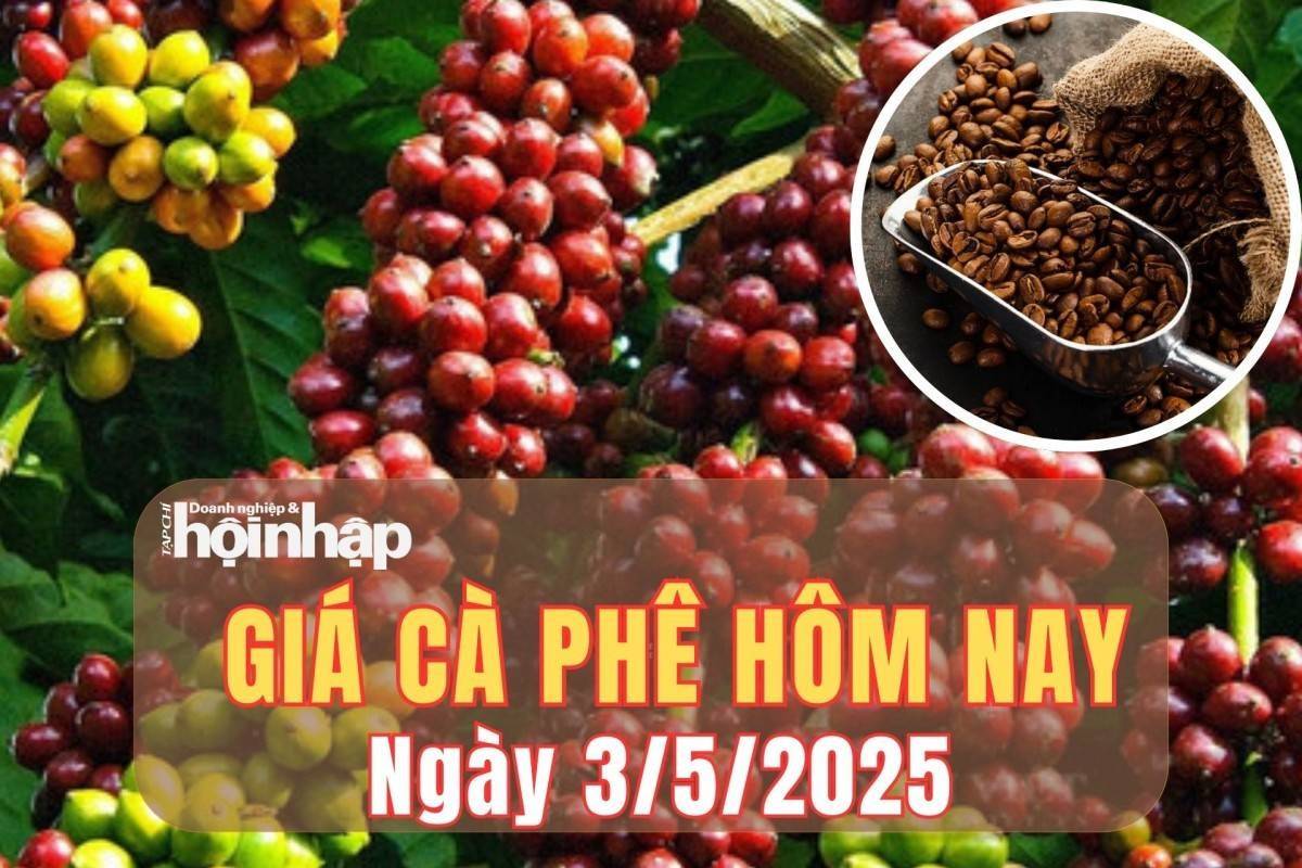 Giá cà phê hôm nay 3/5/2025: Giá cà phê trong nước giảm mạnh 4.000 đồng/kg, thế giới quay đầu tăng