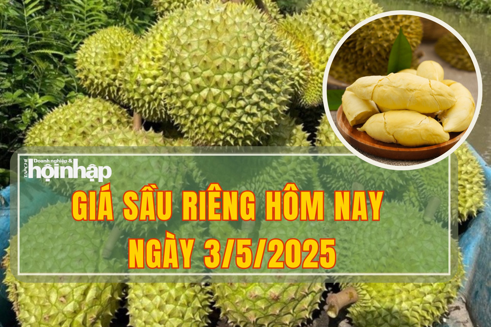 Giá sầu riêng hôm nay 3/5: Sầu riêng Ri6 tăng giá nhẹ