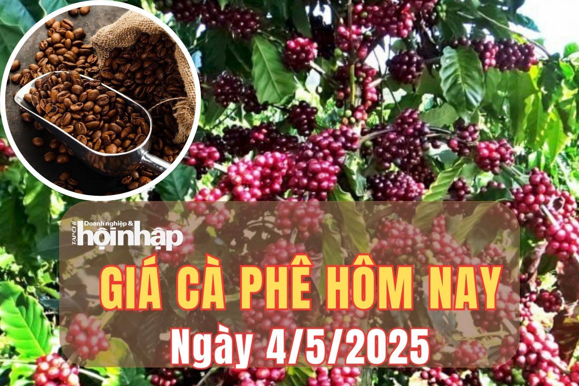 Giá cà phê hôm nay 4/5/2025: Sau phiên giảm mạnh, giá cà phê trong nước "bật" tăng trở lại