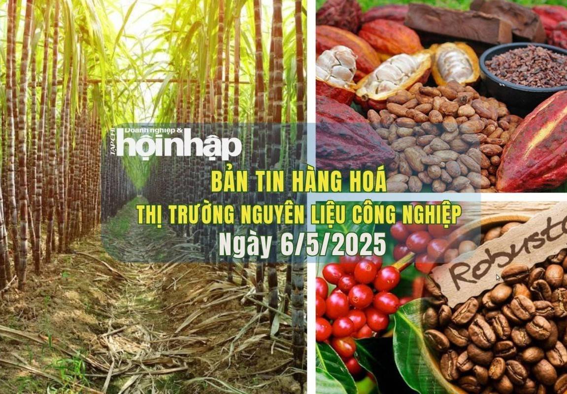 Thị trường nguyên liệu công nghiệp 6/5: Giá đường và cà phê tăng nhẹ, ca cao tiếp tục giảm sâu