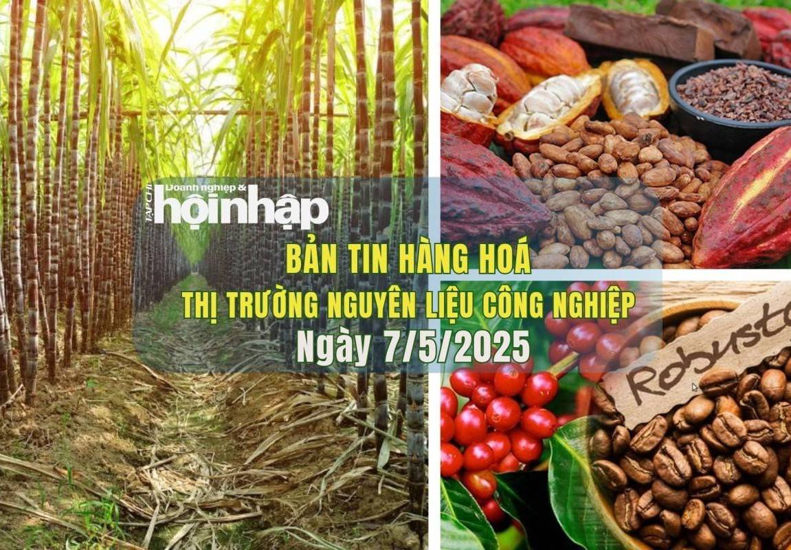 Thị trường nguyên liệu công nghiệp 7/5: Ca cao và cà phê đồng loạt tăng, giá đường biến động trái chiều