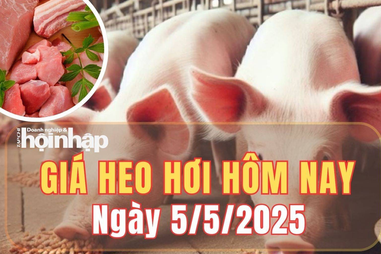 Giá heo hơi hôm nay 5/5/2025: Phiên giao dịch đầu tuần, giá heo hơi ổn định trên cả nước