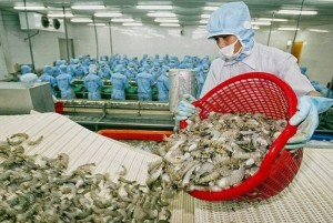 Tôm Việt “tăng tốc”, tập trung chế biến sâu nâng chất