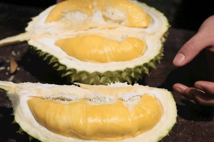 Bí quyết chọn sầu riêng ngon: Cách nhận biết trái chín cây, cơm dày, hạt lép không tẩm hóa chất