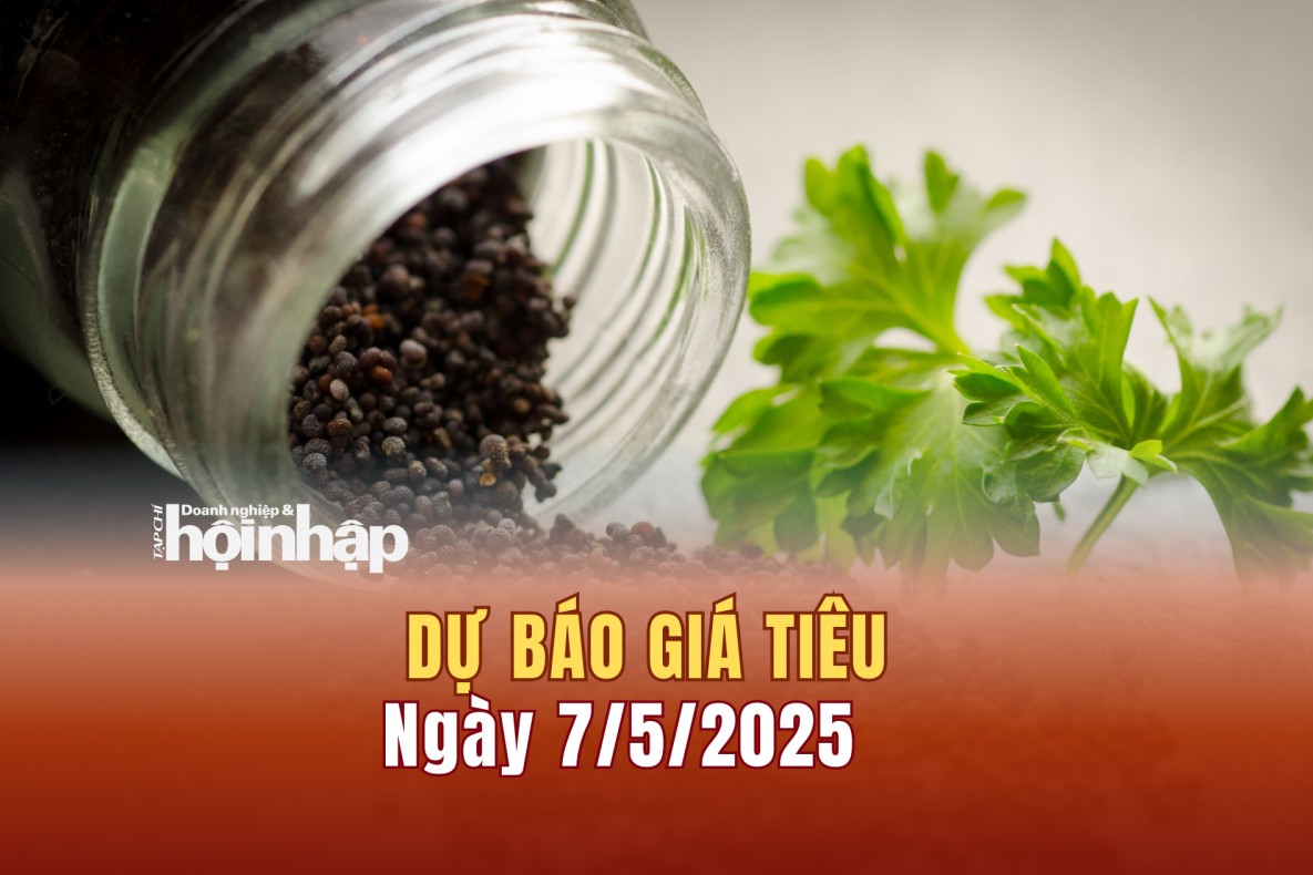 Dự báo giá tiêu 7/5: Giá tiêu trong nước quay tiếp đà "rớt" mạnh