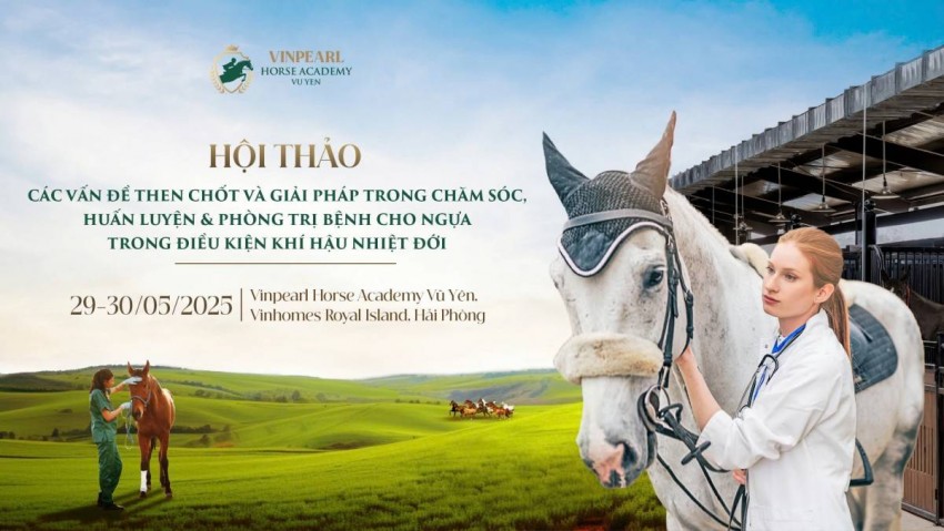 Ảnh 1: Hội thảo chuyên sâu hàng đầu về ngựa do Học viện Cưỡi Ngựa Vinpearl Vũ Yên tổ chức