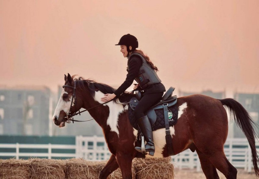 ​​​​​​​ Vinpearl Horse Academy Vũ Yên mang đến trải nghiệm cưỡi ngựa chuẩn quốc tế đầu tiên tại Việt Nam.