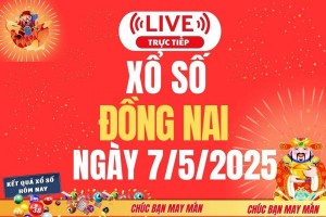 Xổ số Đồng Nai hôm nay ngày 7/5/2025 - XSĐN 7/5 - Kết quả xổ số Đồng Nai hôm nay