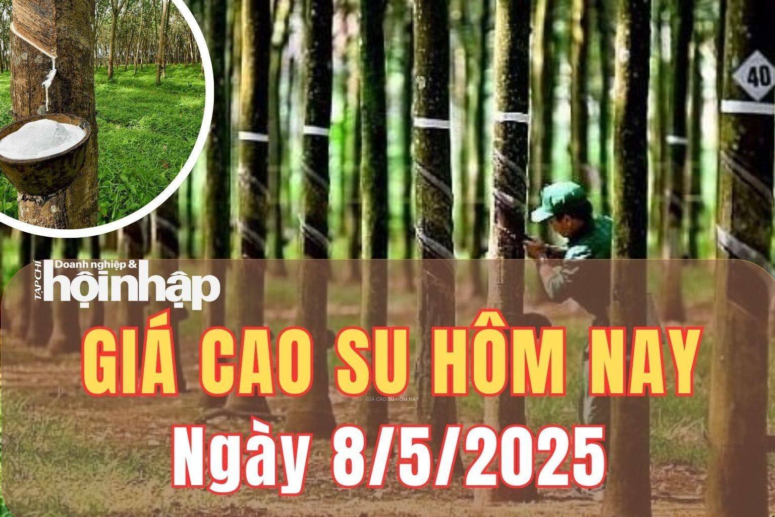 Giá cao su hôm nay 8/5/2025: Giá cao su quay đầu giảm nhẹ tại sàn SGX - Singapore, ổn định trong nước