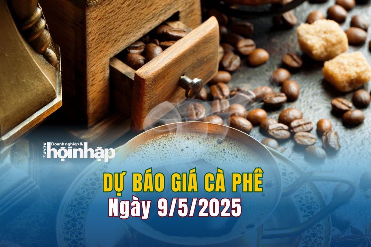 Dự báo giá cà phê 9/5: Giá cà phê trong nước tiếp đà giảm nhẹ