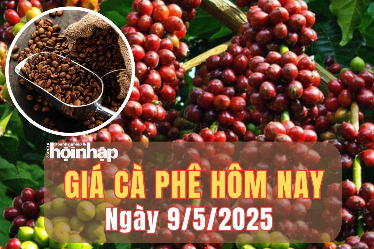 Giá cà phê hôm nay 9/5/2025: Trong nước tiếp tục giảm, thế giới đồng loạt tăng nhẹ