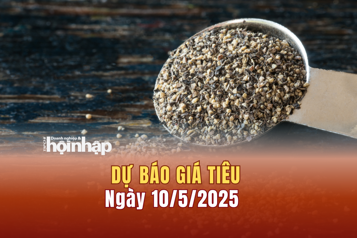 Dự báo giá tiêu 10/5/2025 Dự báo giá tiêu 10/5/2025