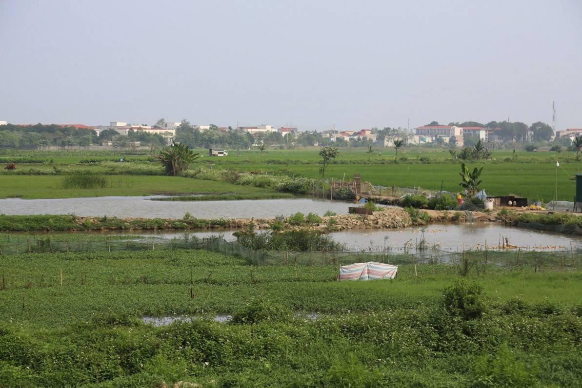 Thanh Hóa: Dự án nghìn tỷ “án binh bất động” sau nhiều lần điều chỉnh