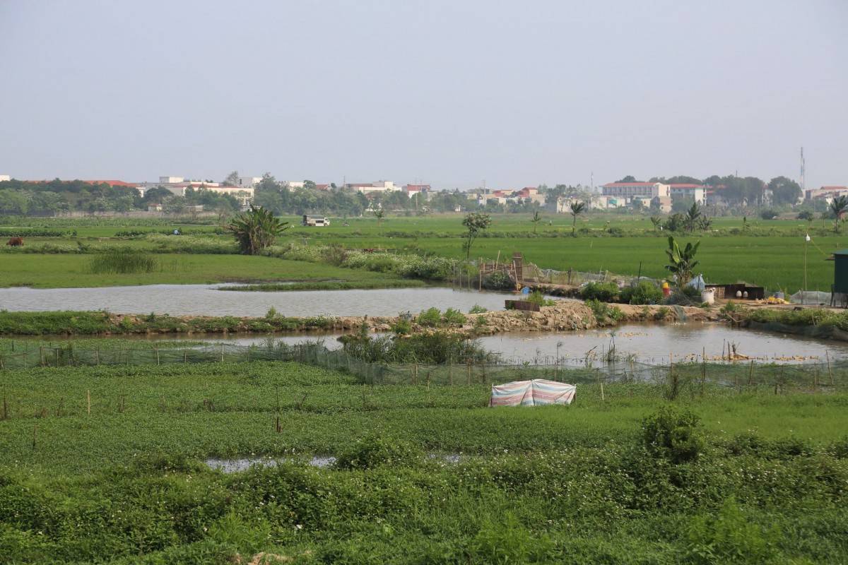 Thanh Hóa: Dự án nghìn tỷ “án binh bất động” sau nhiều lần điều chỉnh