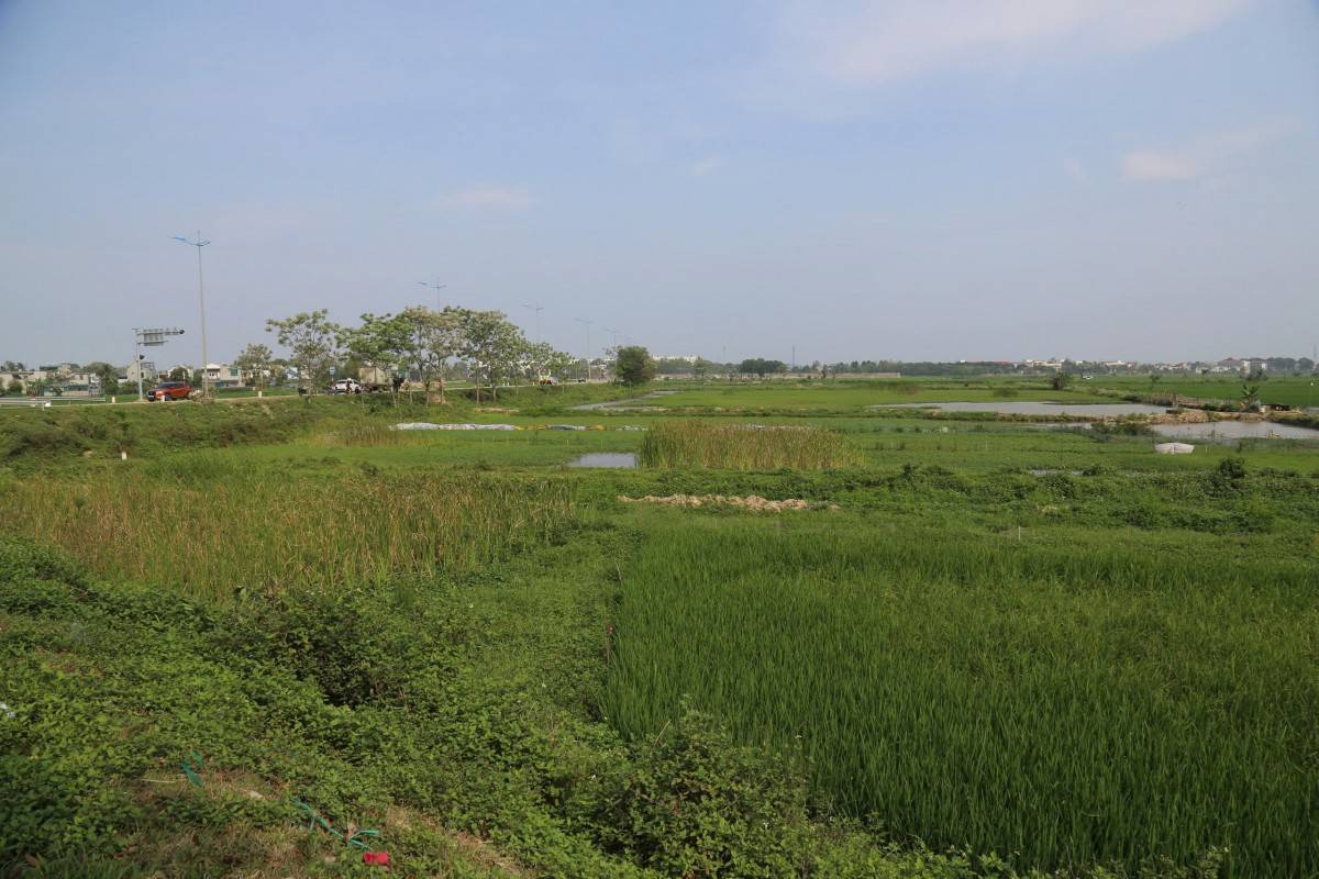 Dự án nhiều năm vẫn chưa triển khai gây lãng phí