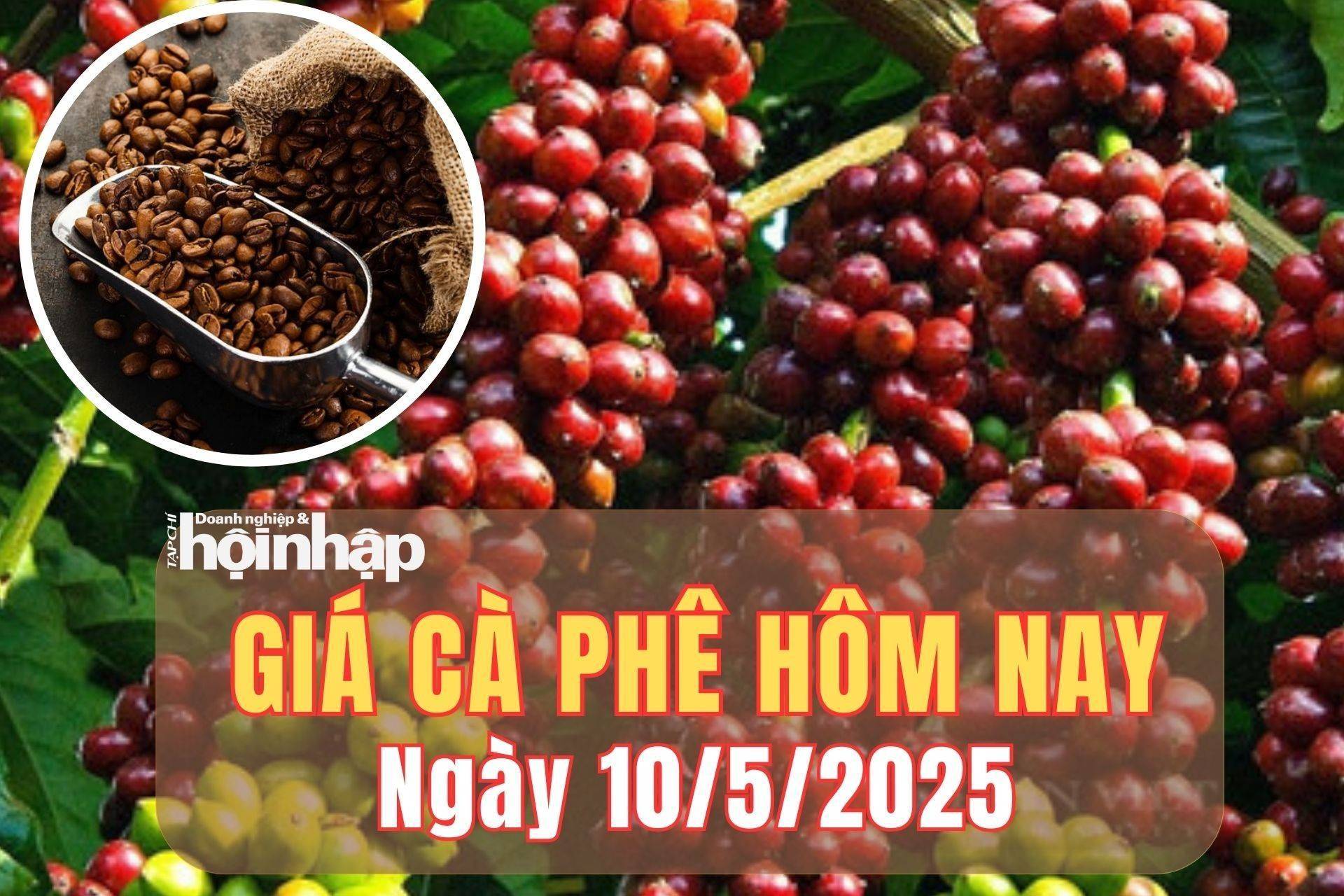 Giá cà phê hôm nay 10/5/2025: Giá cà phê robusta quay đầu giảm, arabica giữ đà tăng, thị trường trong nước nhích nhẹ