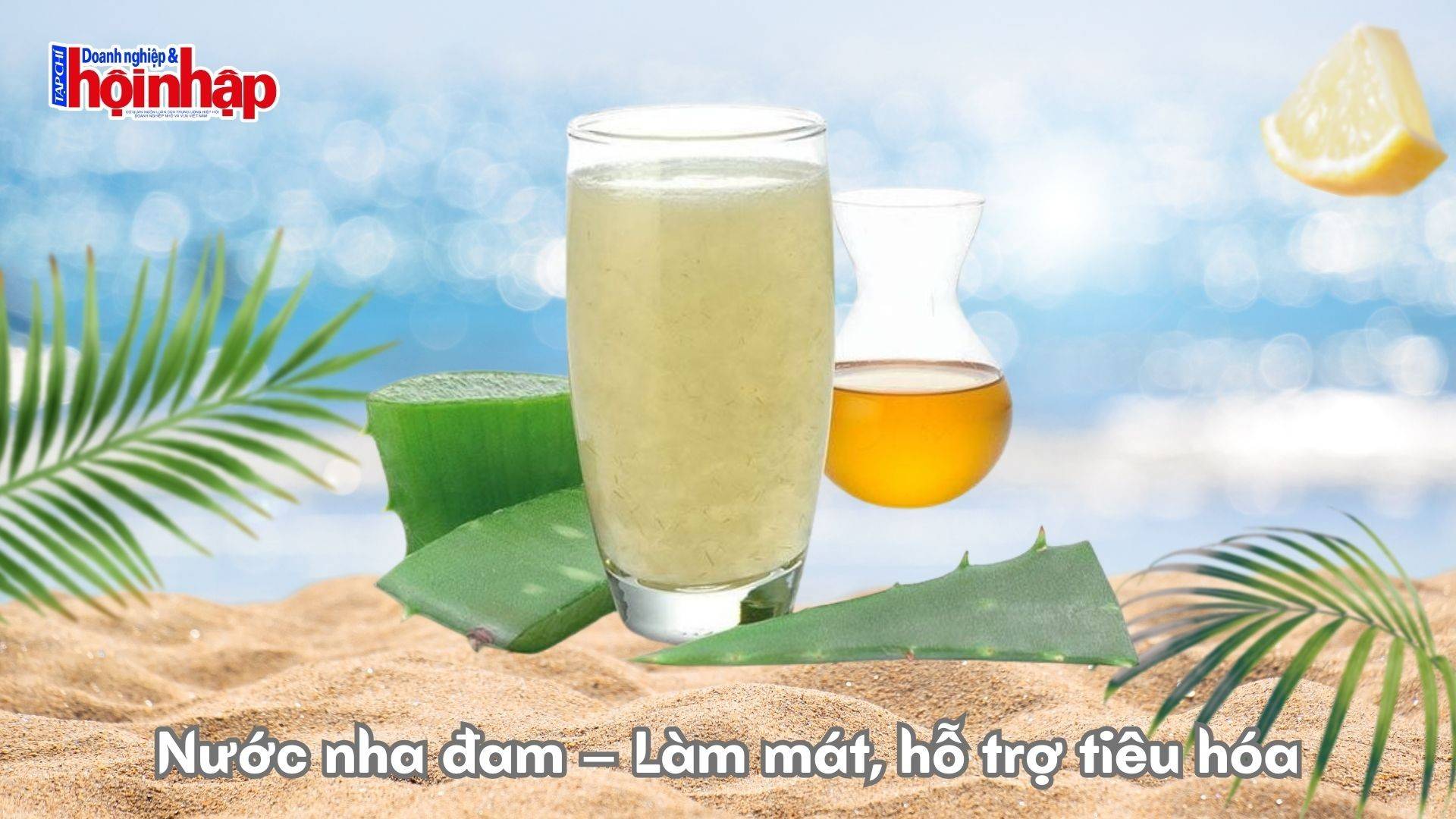 Nước nha đam – Làm mát, hỗ trợ tiêu hóa