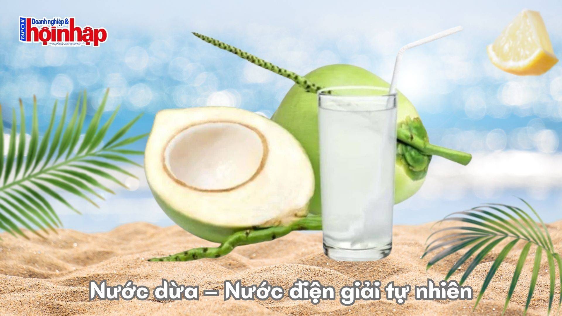 Nước dừa – Nước điện giải tự nhiên