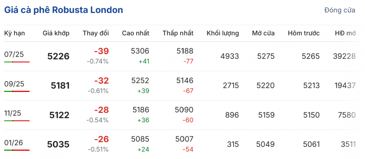 Giá cà phê hôm nay 11/5/2025: Giá cà phê trong nước giảm nhẹ, xuất khẩu vẫn tăng mạnh nhờ giá cao kỷ lục