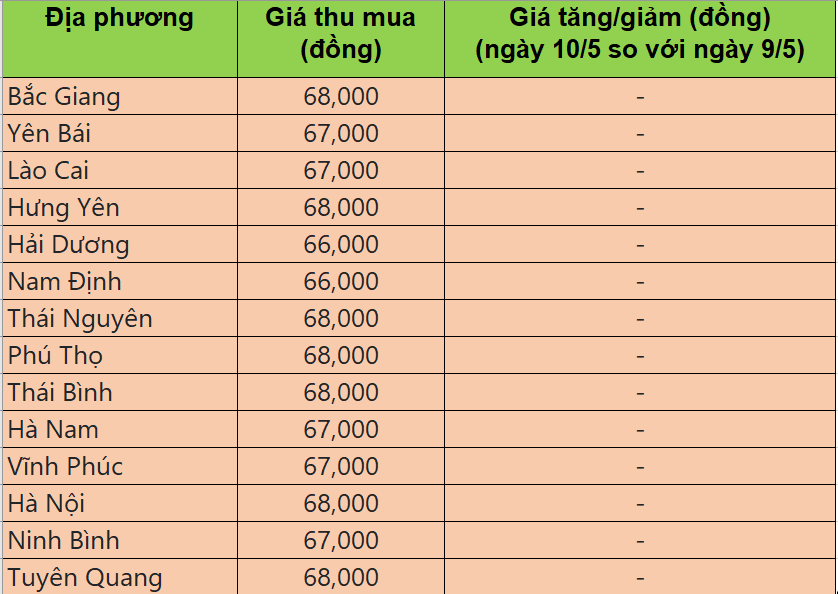 giá heo hơi giá heo hơi