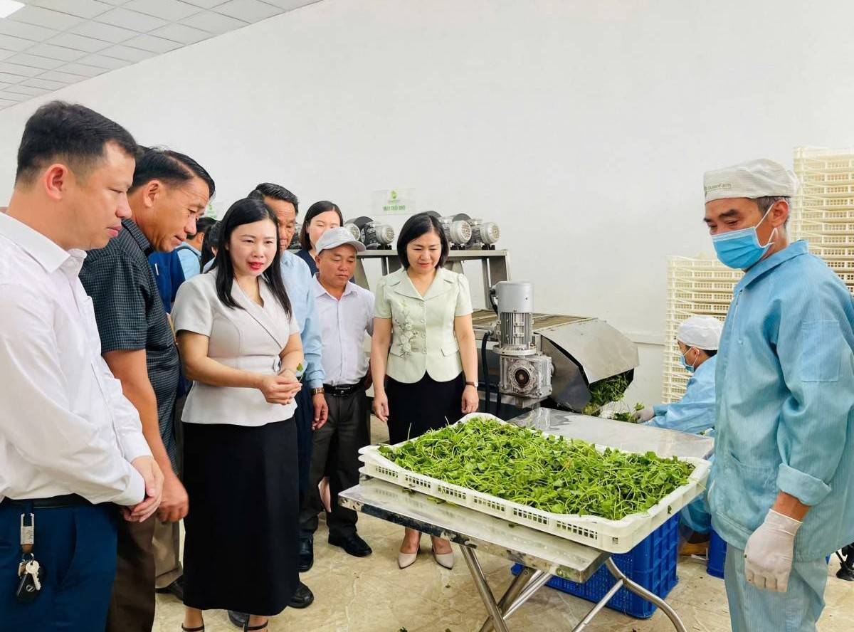 Đoàn công tác Lào thăm và làm việc với các doanh nghiệp Thanh Hóa