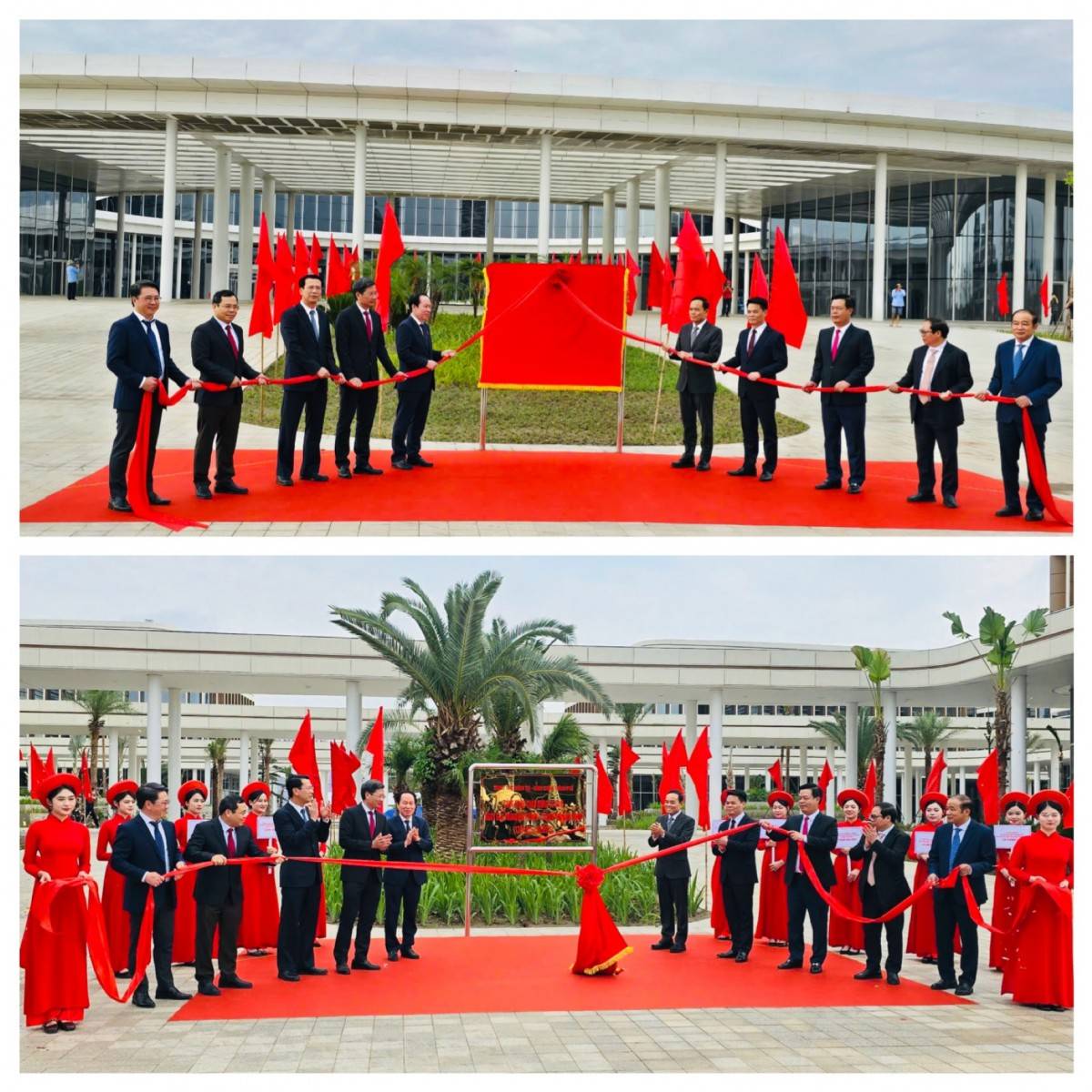 Hoa phượng nở trên đại công trường – Hải Phòng chuyển mình kỳ diệu