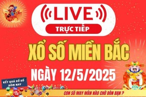 Kết quả Xổ số miền Bắc hôm nay 12/5/2025 - XSMB 12/5 - Trực tiếp xổ số hôm nay ngày 12 tháng 5
